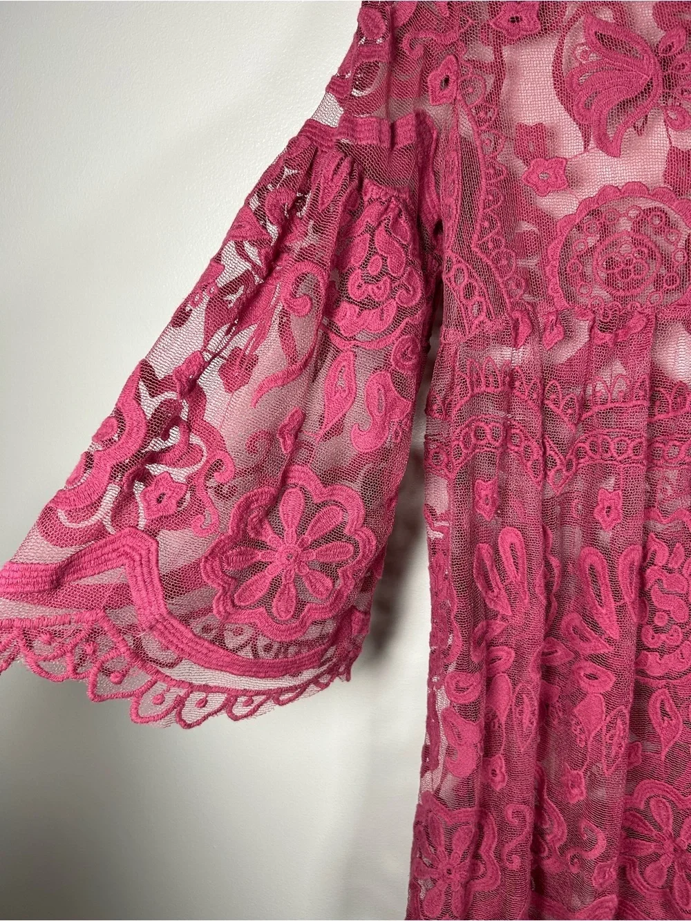 Jens Pirate Booty for Free People Berry Lace Sheer Lace Tunic Dress Overlay